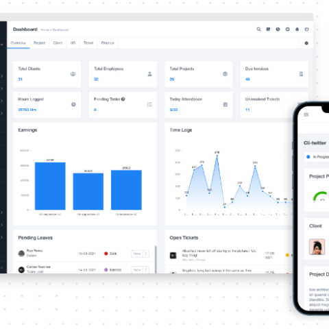 Utilizing WiseERP to Strengthen Internal Control and Audits